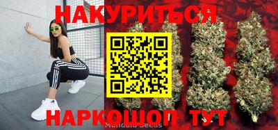 стафф Малгобек
