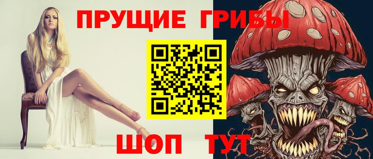Псилоцибиновые грибы мухоморы Дивногорск
